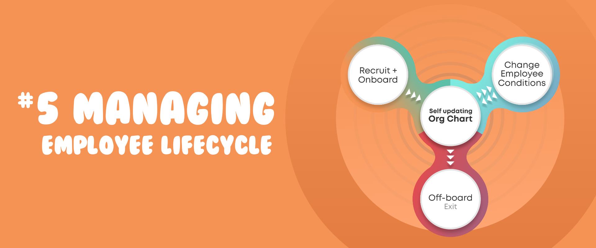 1920_800_005_Managing-Employee-lifecycle