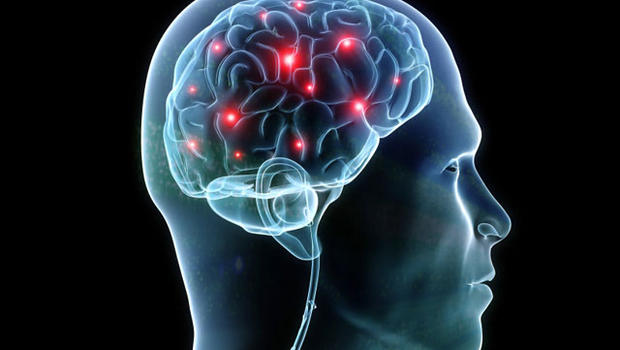 Synapse_in_brain