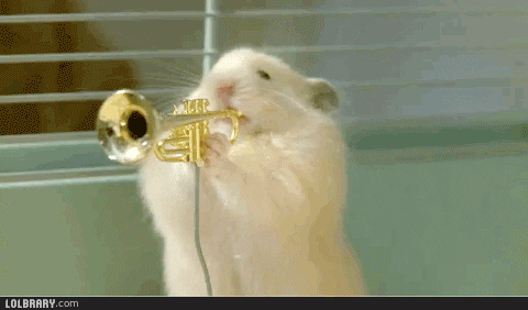 mouseband