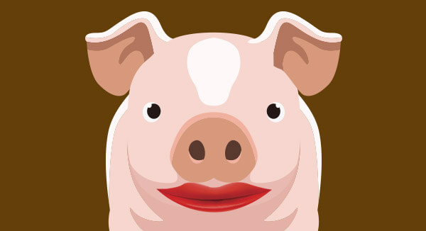 pig